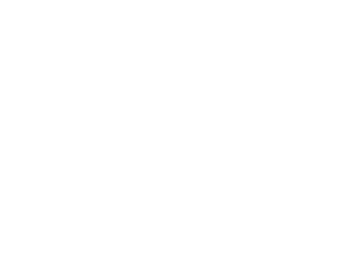 people icon